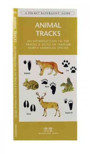 Animal Tracksanimal 