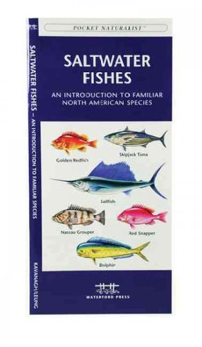 Saltwater Fishessaltwater 