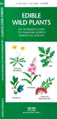 Edible Wild Plantsedible 