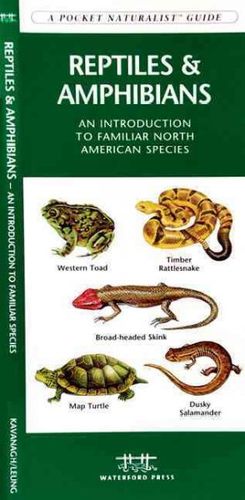 Reptiles and Amphibiansreptiles 