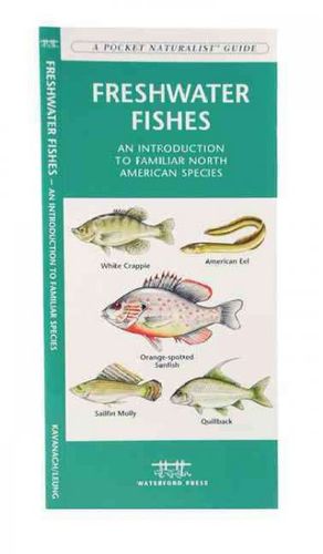 Freshwater Fishesfreshwater 