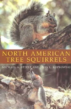 North American Tree Squirrelsnorth 
