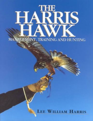 The Harris Hawkharris 