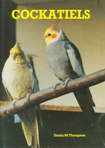 Cockatielscockatiels 