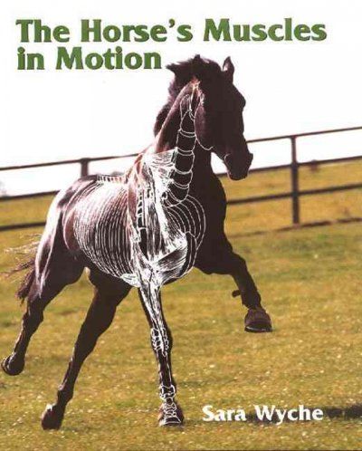 The Horses Muscles in Motionhorses 