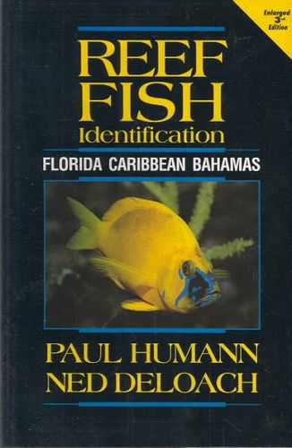 Reef Fish Identificationreef 