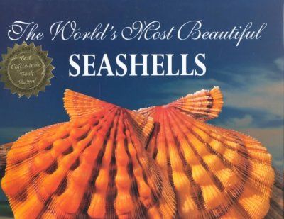 The World's Most Beautiful Seashellsworld 