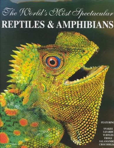 The World's Most Spectacular Reptiles & Amphibiansworld 