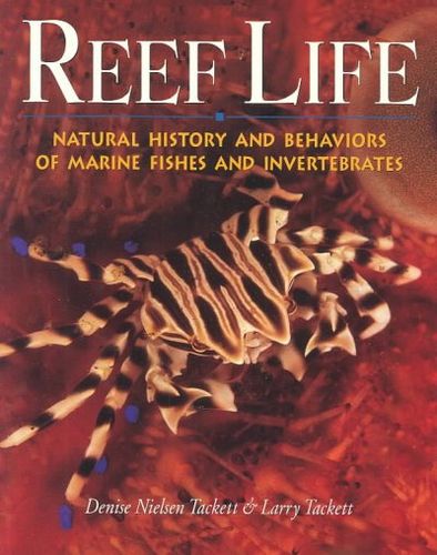 Reef Lifereef 