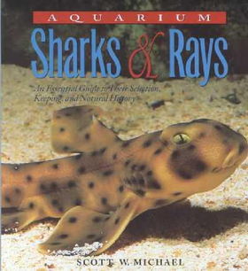 Aquarium Sharks & Raysaquarium 