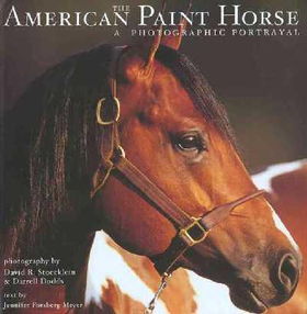 The American Paint Horseamerican 