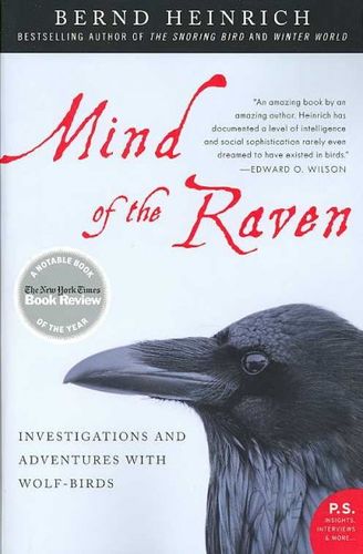 Mind of the Ravenmind 