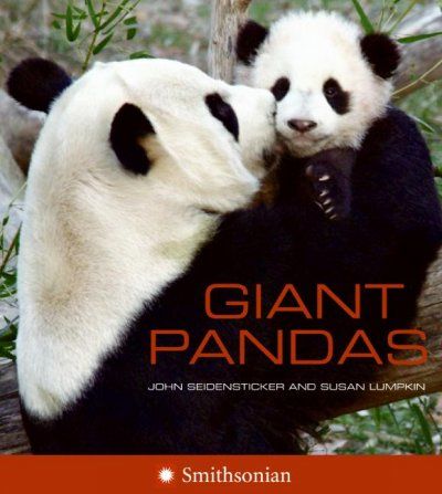 Giant Pandasgiant 