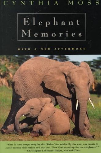 Elephant Memorieselephant 