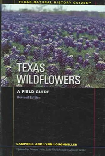 Texas Wildflowerstexas 