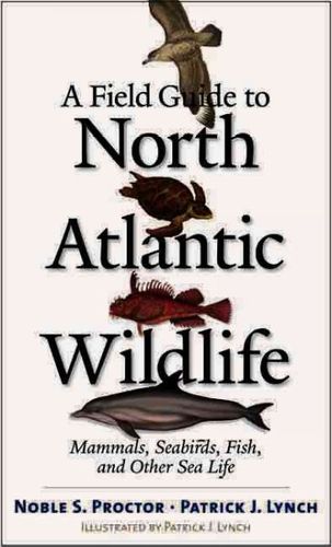 A Field Guide To North Atlantic Wildlifefield 