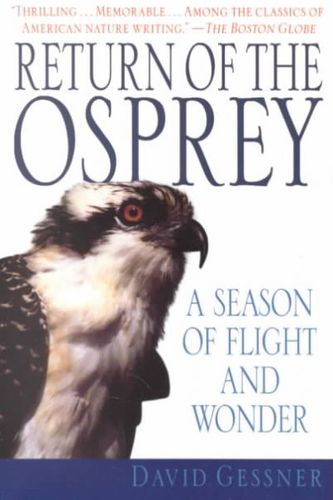 Return of the Ospreyosprey 