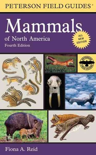 A Field Guide to Mammals of North Americafield 