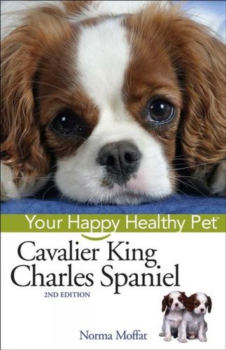Cavalier King Charles Spanielcavalier 