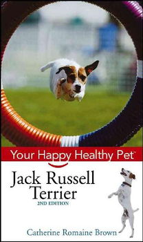 Jack Russell Terrierjack 