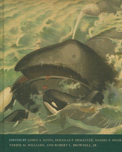 Whales, Whaling, And Ocean Ecosystemswhales 