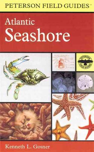 A Field Guide to the Atlantic Seashorefield 