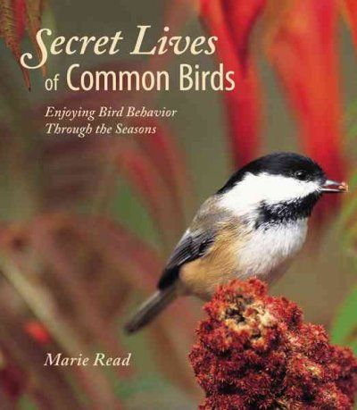 Secret Lives of Common Birdssecret 