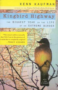 Kingbird Highwaykingbird 