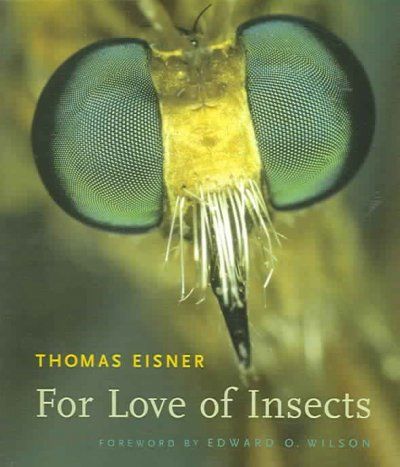 For Love Of Insectslove 