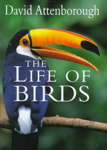 The Life of Birdslife 