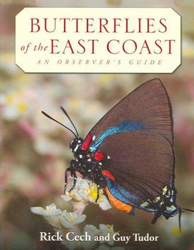 Butterflies of the East Coastbutterflies 