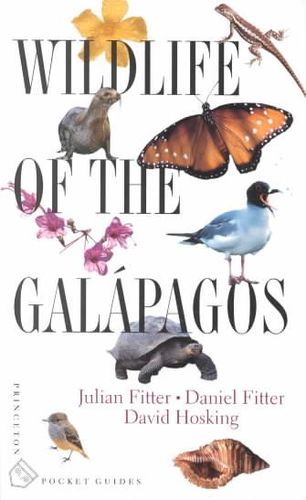 Wildlife of the Galapagoswildlife 