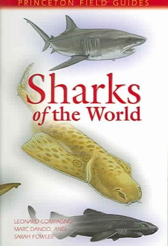 Sharks Of The Worldsharks 