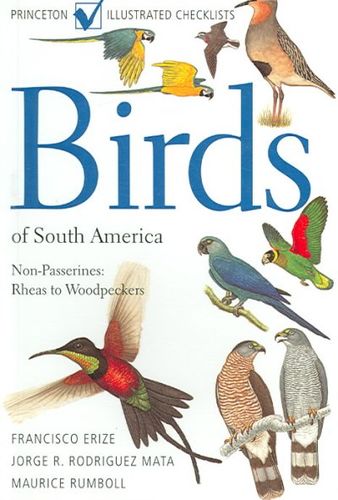 Birds of South Americabirds 
