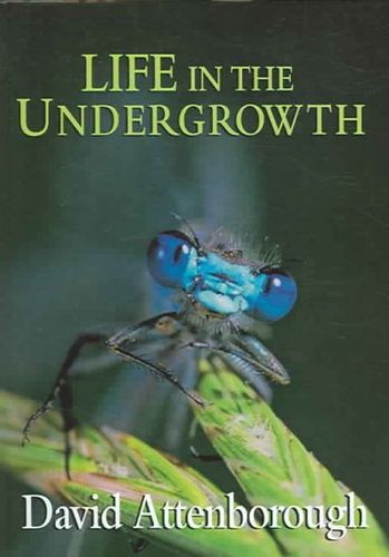Life in the Undergrowthlife 