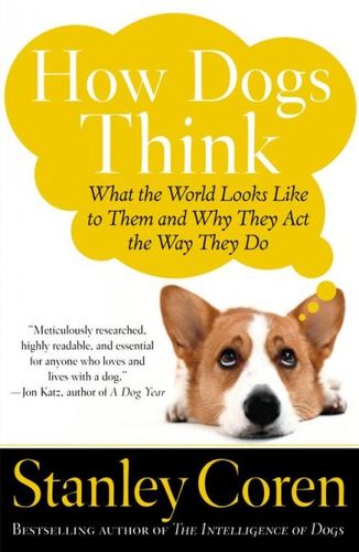 How Dogs Thinkdogs 
