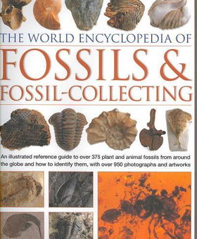 The World Encyclopedia Of Fossils And Fossil-Collectingworld 