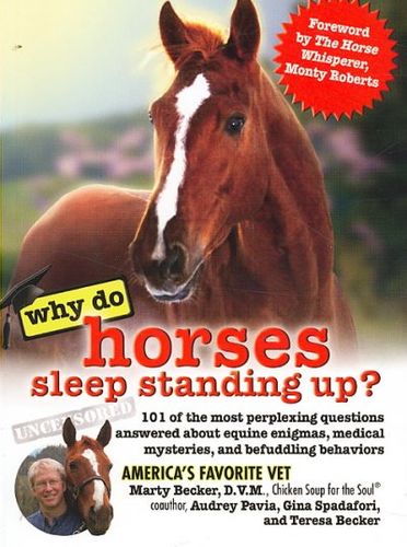Why Do Horses Sleep Standing Up?horses 