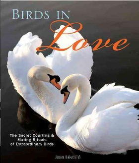Birds in Lovebirds 