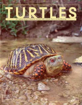 Turtlesturtles 