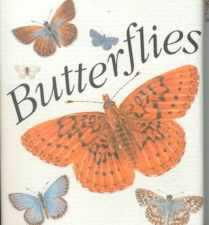 Butterfliesbutterflies 