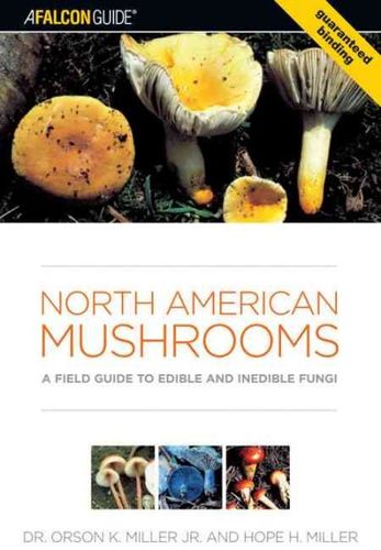 North American Mushroomsnorth 
