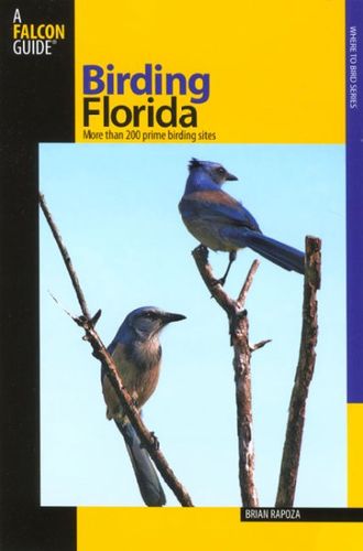 Birding Floridabirding 