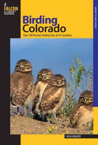 Birding Coloradobirding 