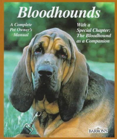 Bloodhoundsbloodhounds 