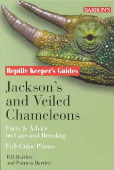 Jackson's and Veiled Chameleonsjackson 