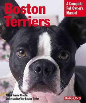 Boston Terriersboston 