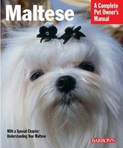 Maltesemaltese 