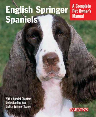 English Springer Spanielsenglish 