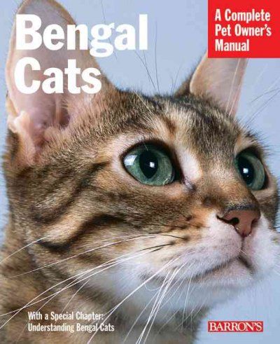 Bengal Catsbengal 